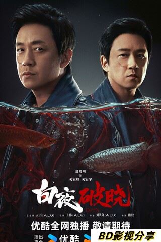 《白夜破晓》全集